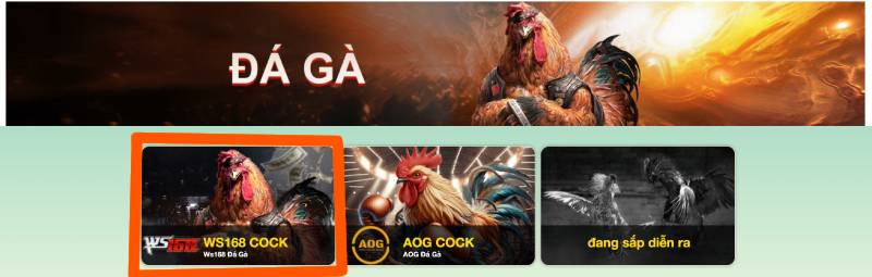 Giới Thiệu WS168 Đá Gà - Tỉ Lệ Cược Cực Hấp Dẫn 5 Các Bước Tham Gia Cá Cược WS168 Đá Gà