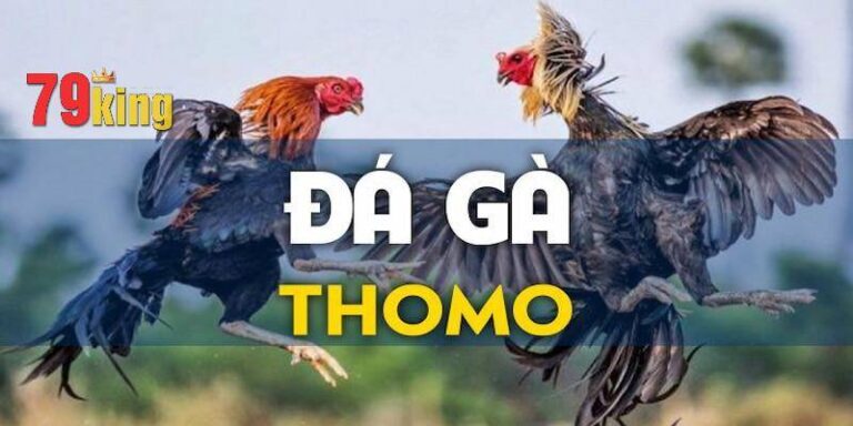Đá Gà Thomo 79King – Trải Nghiệm Cho Tín Đồ Chọi Kê 14 Da Ga Thomo 79King – Trai Nghiem Cho Tin Do Choi Ke