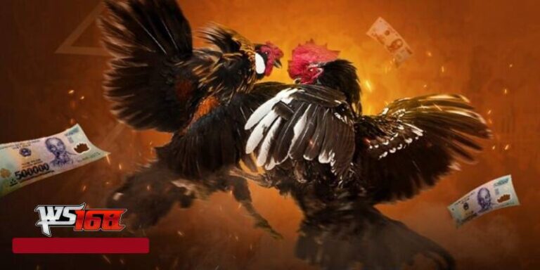 Giới Thiệu WS168 Đá Gà - Tỉ Lệ Cược Cực Hấp Dẫn 13 Gioi Thieu WS168 Da Ga Ti Le Cuoc Cuc Hap Dan