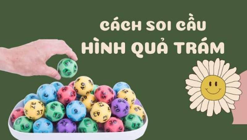 Soi Cầu Lô Hình Quả Trám - Phân Tích Số Lô Đầy Tiềm Năng 6 Mẹo tăng hiệu quả khi soi cầu lô hình quả trám